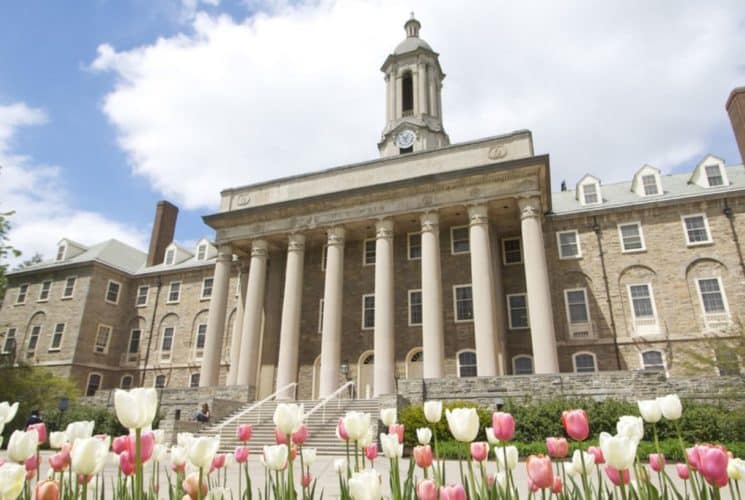 Light colored stone brick building with large columns and staircase in the front surrounded by green shrubs and pink and white tulips