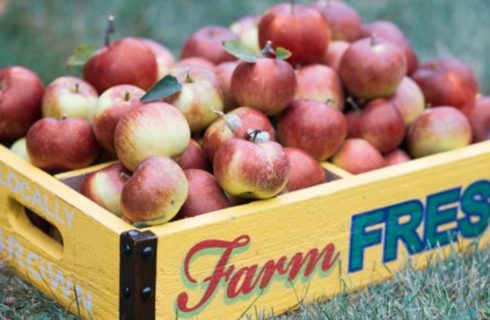 Yellow wooden crate filled with red and green apples