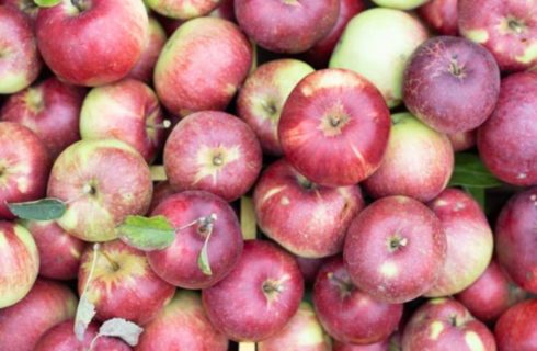 Close up view of multiple green and red apples