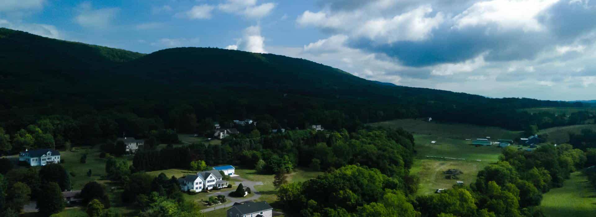 Exterior aerial view of property surrounded by green grass, bushes and trees